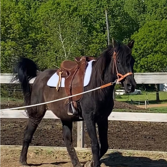 Meet your Posher, Stephanie - Picture 2 of 3